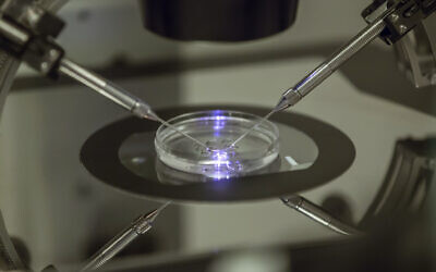 Illustrative: An in vitro fertilization embryologist works on a petri dish at a fertility clinic in London, August 14, 2013. (AP Photo/Sang Tan)