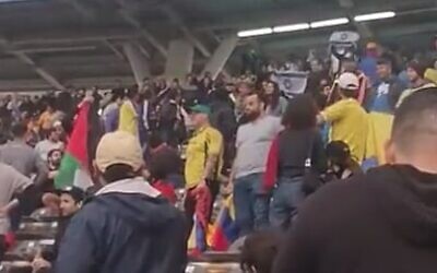 A fan waves a Palestinian flag in the stands of a U-20 World Cup match between Israel and Columbia on May 21, 2023. (Screen capture/Twitter)