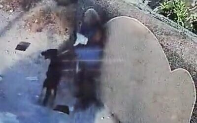 A screenshot of surveillance video from a mosque in the Palestinian town of Urif shows a masked suspect tearing pages from a book as settlers rampaged there, June 22, 2023. (Screenshot: Twitter, used in accordance with Clause 27a of the Copyright Law)
