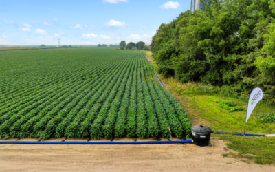 N-Drip's drip irrgation system in the US. (Martin Hobelman/N-Drip)